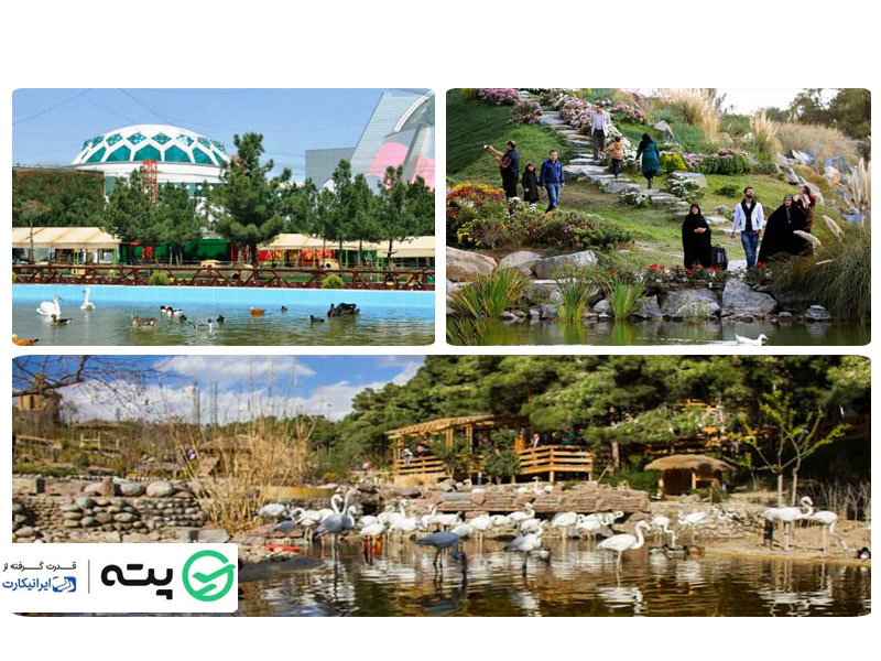 باغ پرندگان سپاد