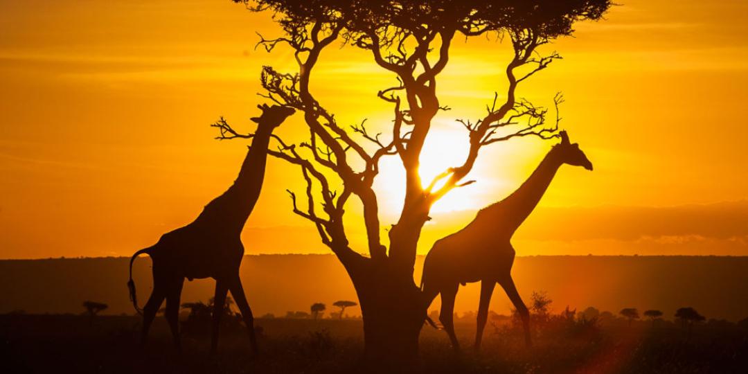 همه چیز در مورد ویزا کنیا