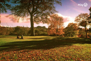 برترین مقاصد گردشگری خارجی در پاییز 1404 |  بهترین کشورها برای سفر در پاییز