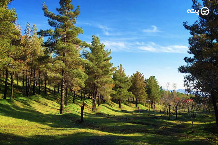 لویزان از جاهای دیدنی تهران در پاییز