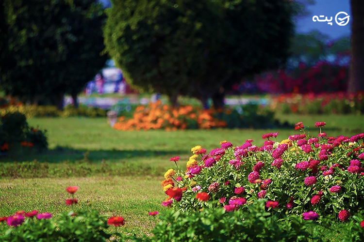 سفر به کیش