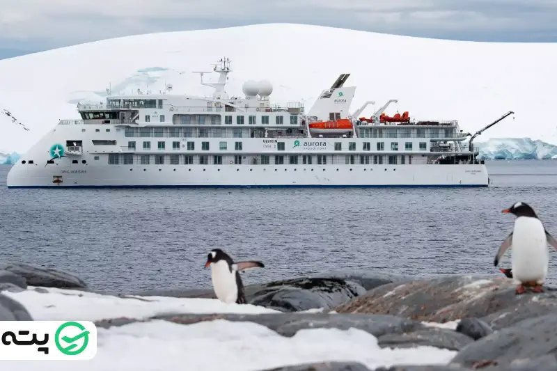 سفر هیجان انگیز با کشتی به جنوبگان