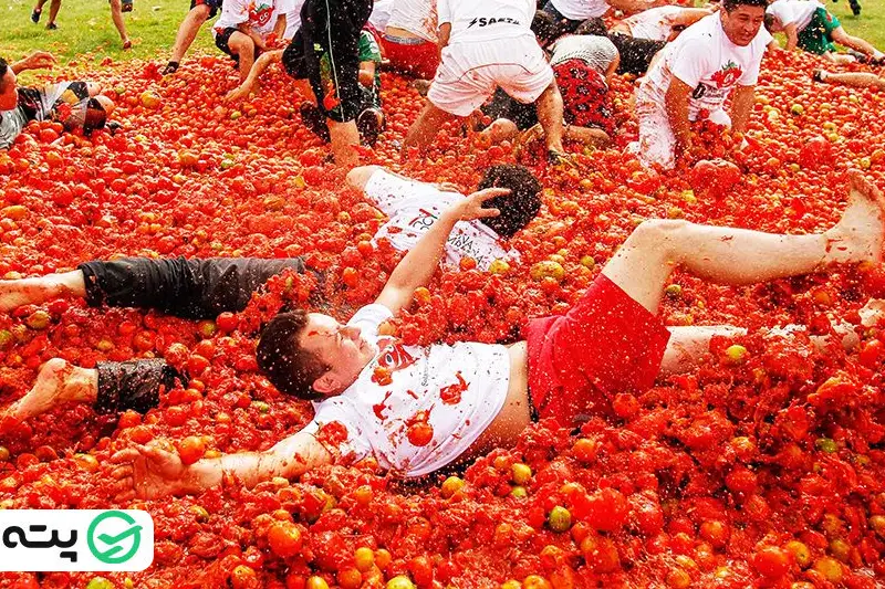 جشنواره گوجه‌فرنگی
