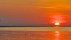 فاصله تهران تا بندرعباس | مقایسه مسیر با سواری، اتوبوس، قطار و هواپیما