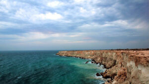 فستیوال کوچه بوشهر 1404 | همه چیز درباره هیجان انگیز ترین جشن موسیقی ایران