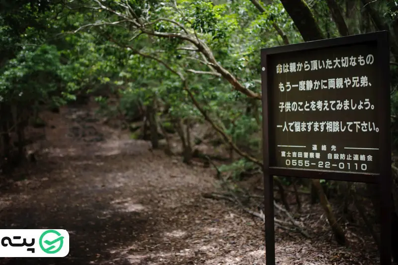 جنگل خودکشی آئوکیگاهارا در ژاپن