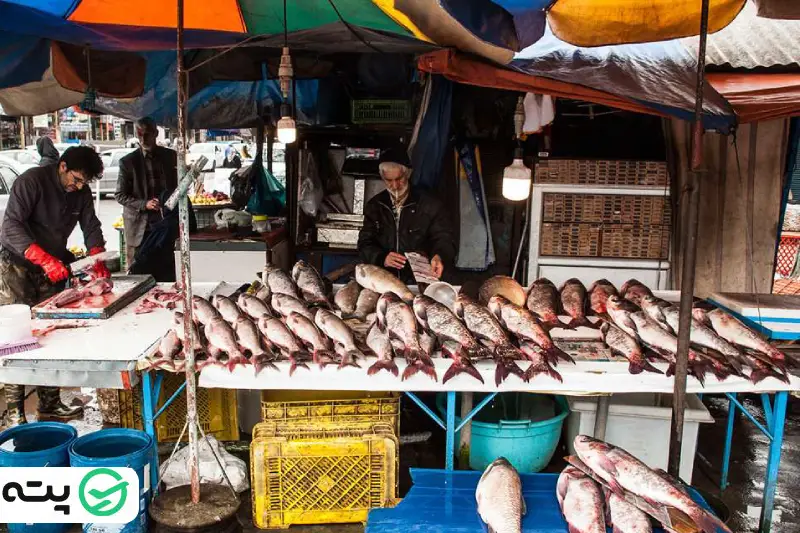 بازار ماهی فروشان بندر انزلی