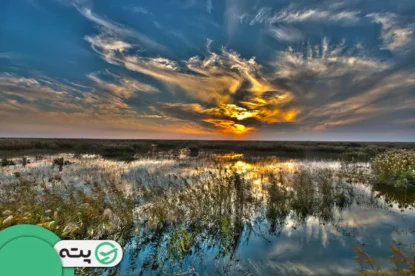 سرزمینی از زیبایی و حیات: کشف تالاب هورالعظیم