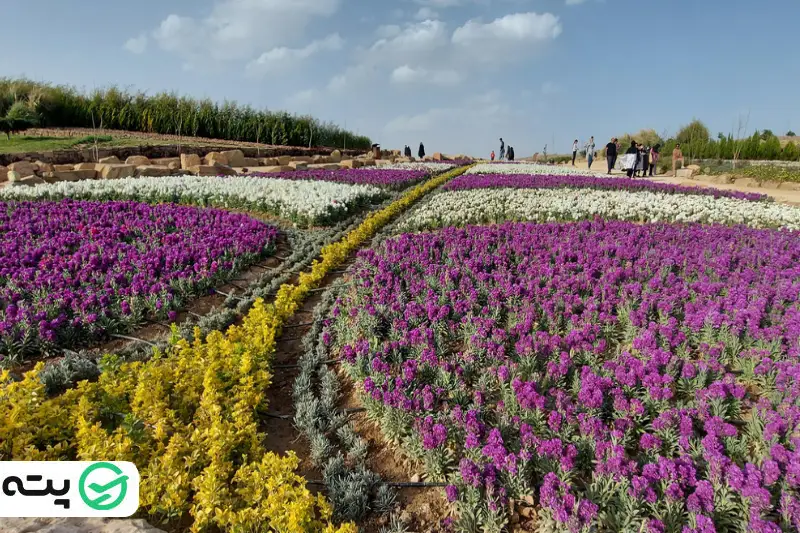 پارک گلها از جاهای تفریحی شیراز