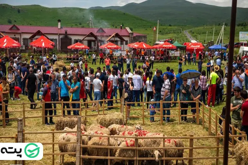 جشنواره پشم چینی در ارمنستان
