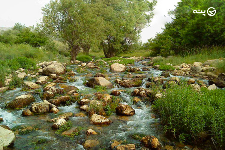 دره المون از جاهای دیدنی یاسوج