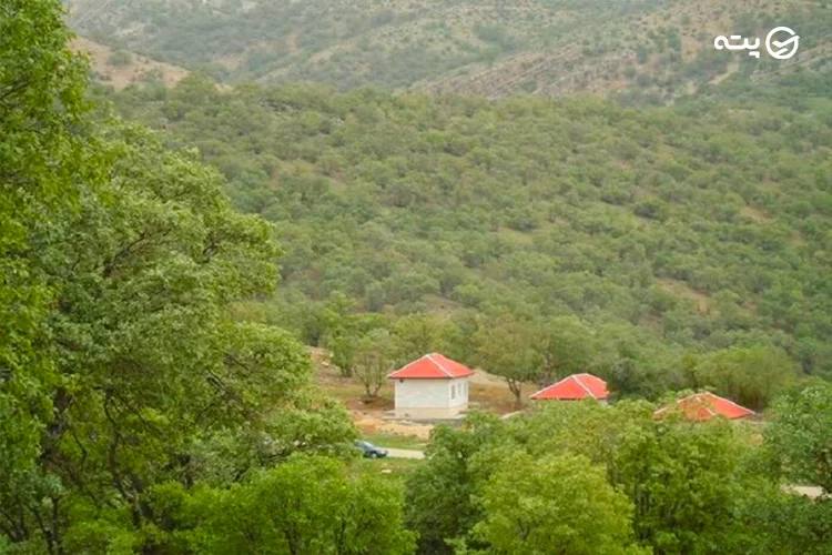 پارک جنگلی یاسوج