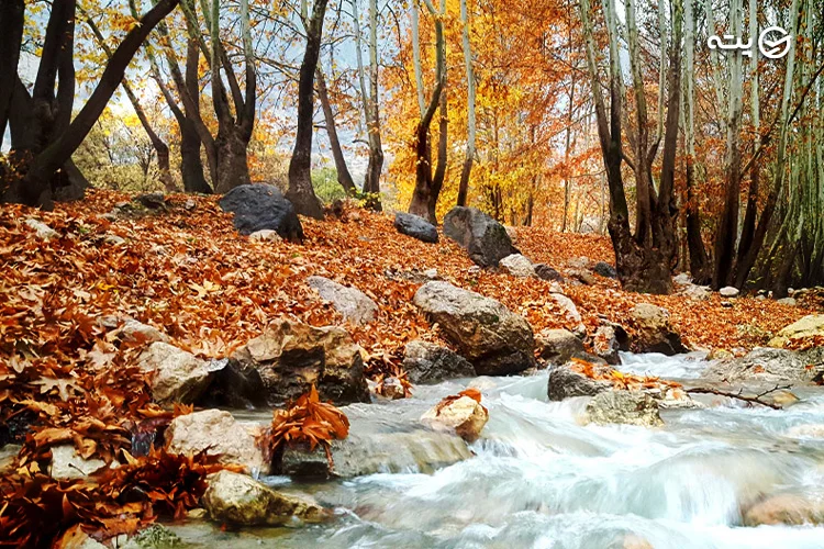 تنگه گنجه ای از جاهیا دیدنی یاسوج
