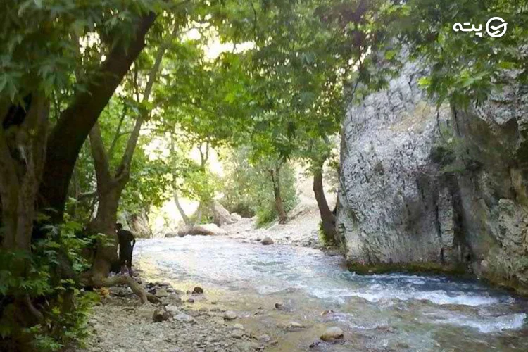 تنگ مهریان از جاهای دیدنی یاسوج