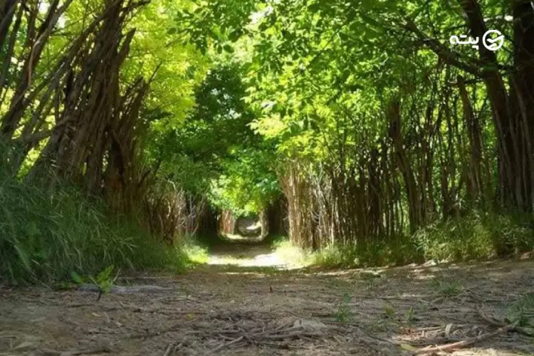 روستای بانقلان
