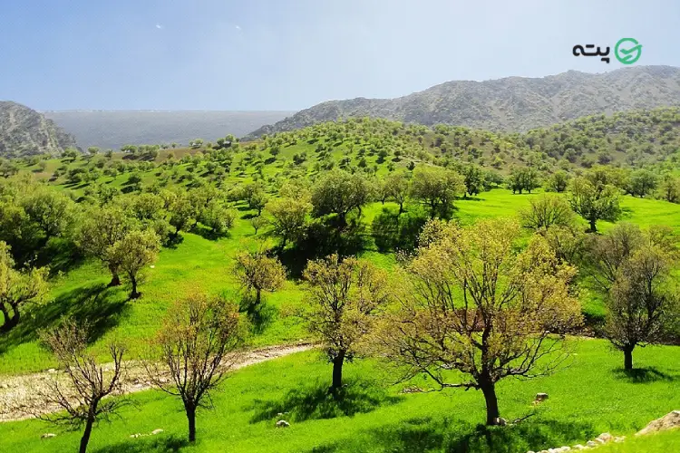 تفرجگاه تجریان