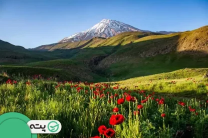 راهنمای سفر به دشت لار دماوند؛ بهشتی تماشایی در قلب مازندران