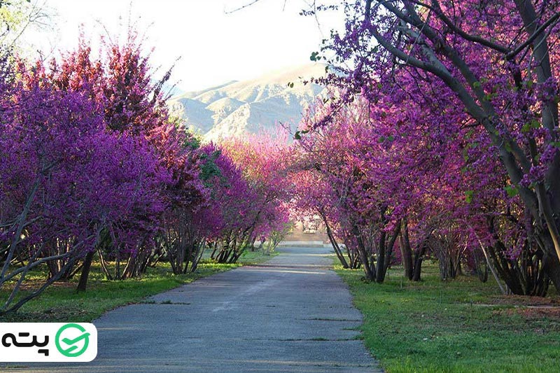 راهنمای سفر به تهران