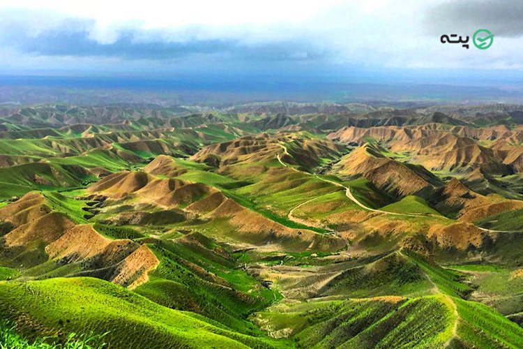 ترکمن صحرا