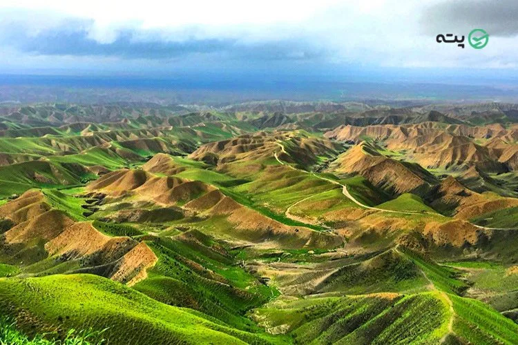 ترکمن صحرا
