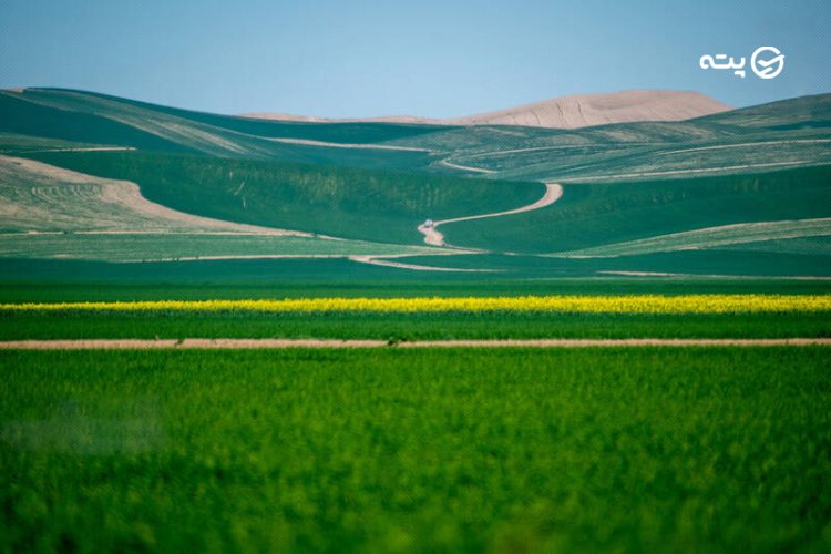 طبیعت بکر ترکمن صحرا