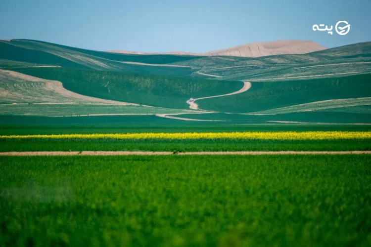 طبیعت بکر ترکمن صحرا
