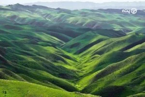 ترکمن صحرا کجاست؟ | سفر به ترکمن صحرا نگین مخملی گلستان