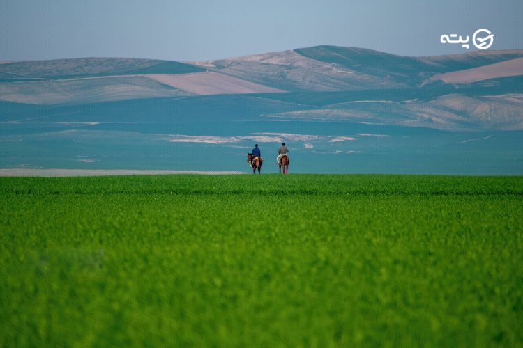 ترکمن صحرا