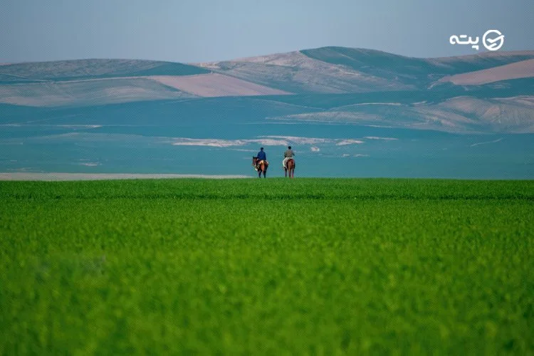 ترکمن صحرا