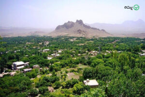 جاهای دیدنی نیاسر کاشان | باغشهر کهن ایران زمین