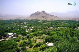 جاهای دیدنی نیاسر کاشان | باغشهر کهن ایران زمین