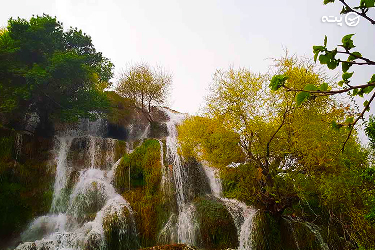 نیاسر