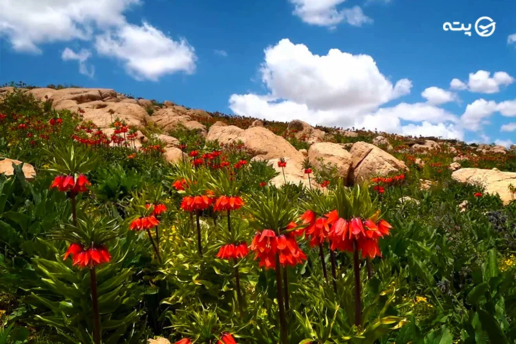 جاهای دیدنی لرستان پته
