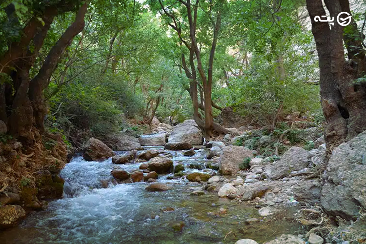 جاهای دیدنی لرستان پته