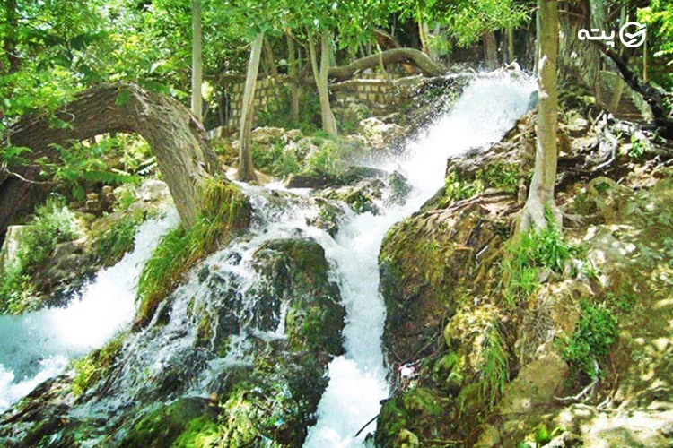 چشمه اسکندریه از جاهای دیدنی نیاسر