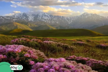 سفری جذاب به اشترانکوه، آلپ ایران