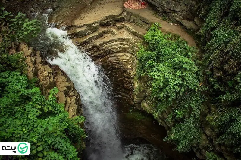 پوشش گیاهی و جانوری آبشار ویسادار