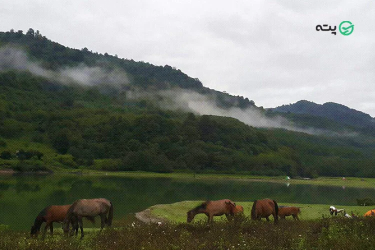 روستای آلاشت از جاهای دیدنی شمال