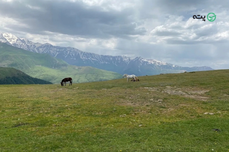 روستای مازیچال از جاهای دیدنی شمال