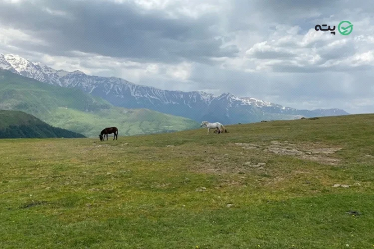 روستای مازیچال از جاهای دیدنی شمال