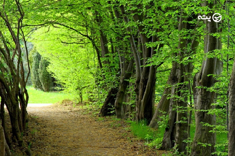 سی سنگان از جاهای دیدنی شمال