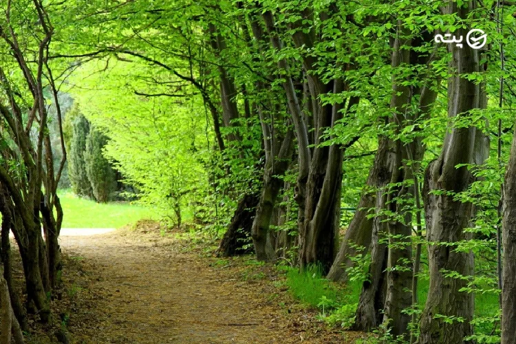 سی سنگان از جاهای دیدنی شمال