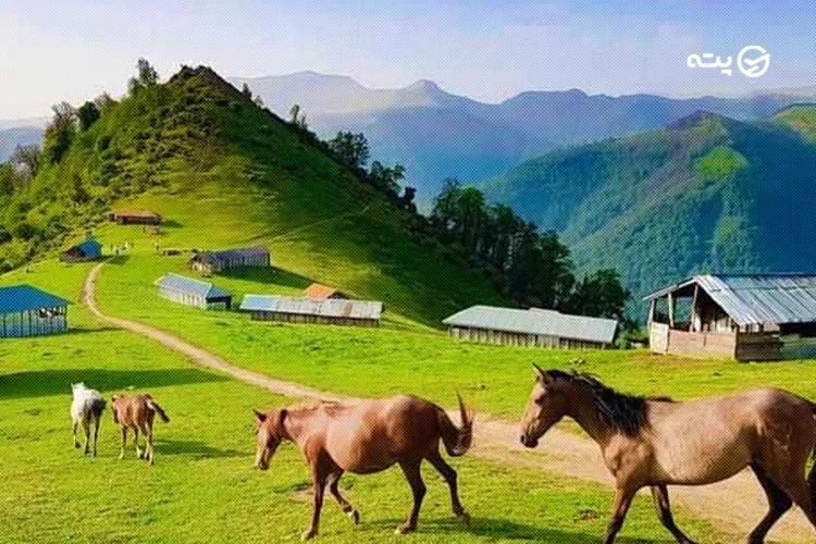 اسبسواری در اولسبلنگاه