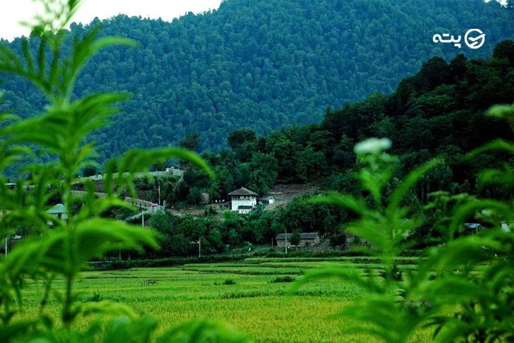 فومن از جاهای دیدنی اطراف رشت