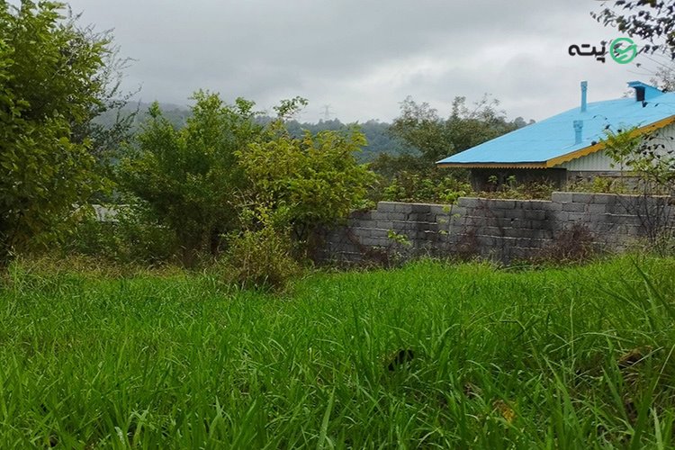 روستای اسکولک