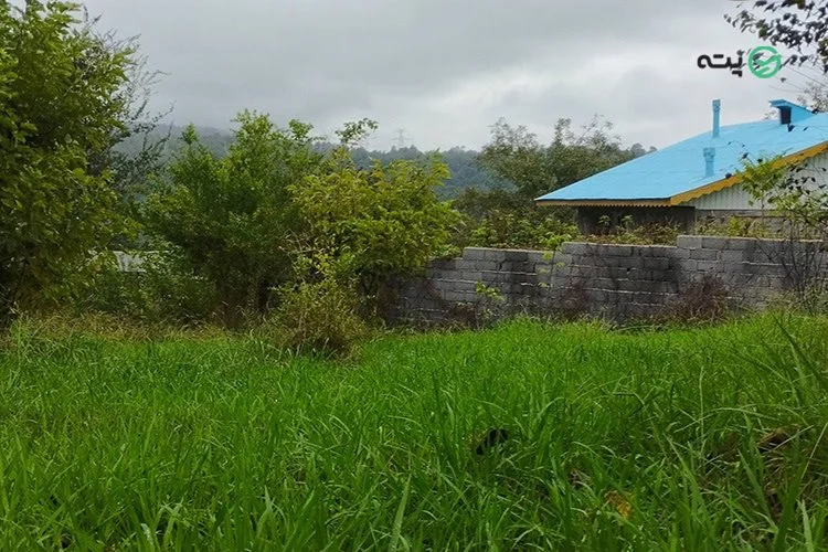 روستای اسکولک