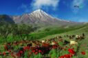جاهای دیدنی پلور | همه چیز درباره روستای پلور + آدرس