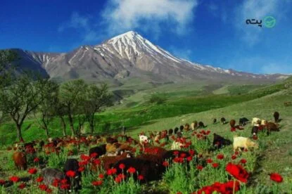 جاهای دیدنی پلور | همه چیز درباره روستای پلور + آدرس
