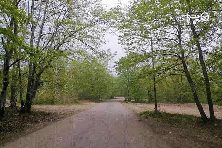بهترین مسیر دسترسی به مرداب سراوان