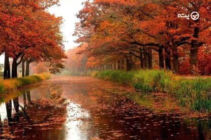 جاهای دیدنی شیراز در فصل پاییز؛ زیبایی هایی که نباید از دست بدهید